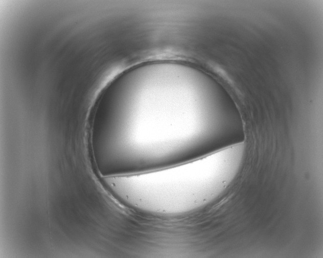 X0000066531463200603171017