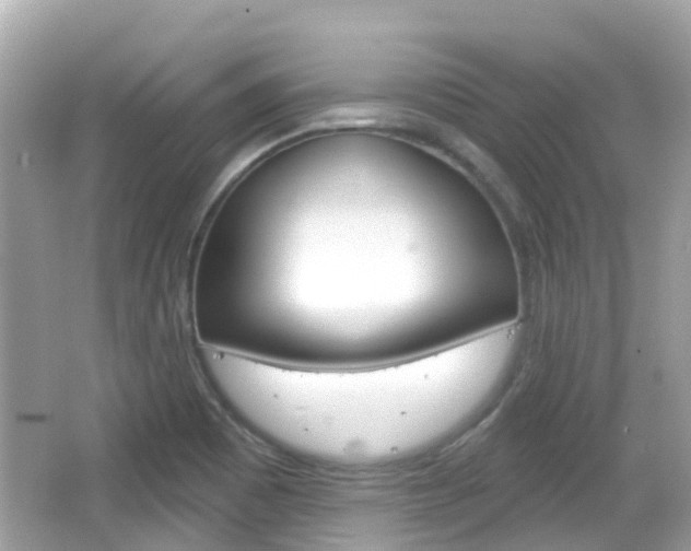 X0000066531465200603171017
