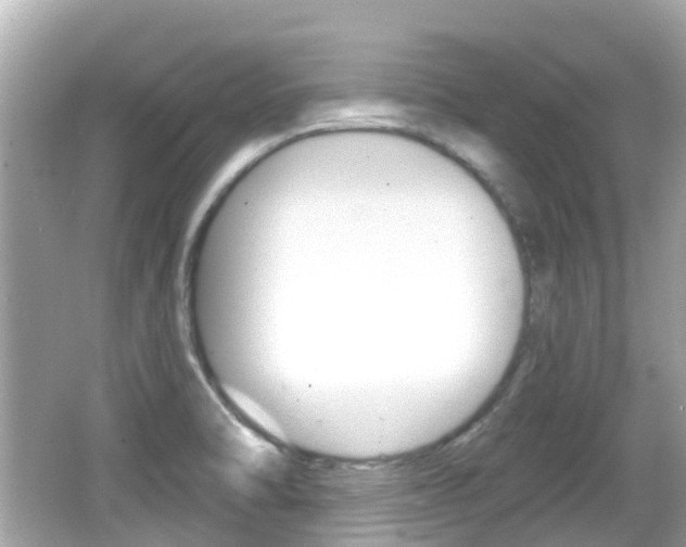 X0000066531470200603171017