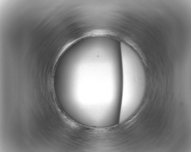 X0000066531473200603171016