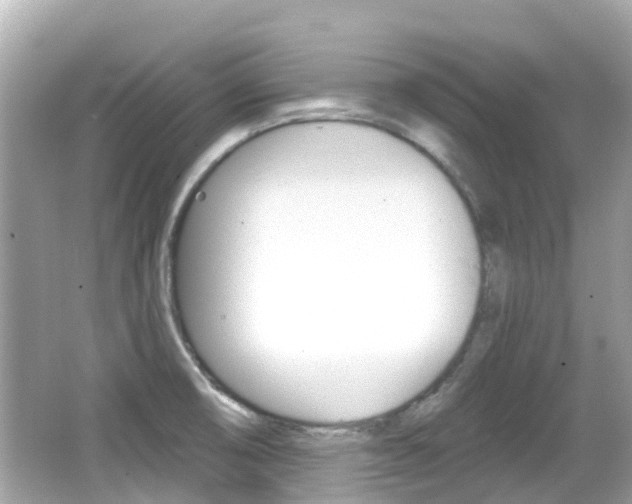 X0000066531474200603171016