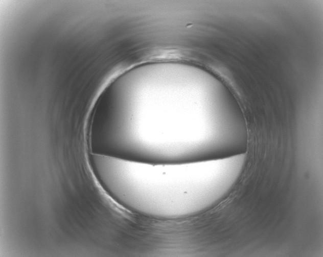 X0000066531475200603171016
