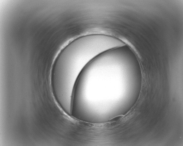 X0000066531477200603171016