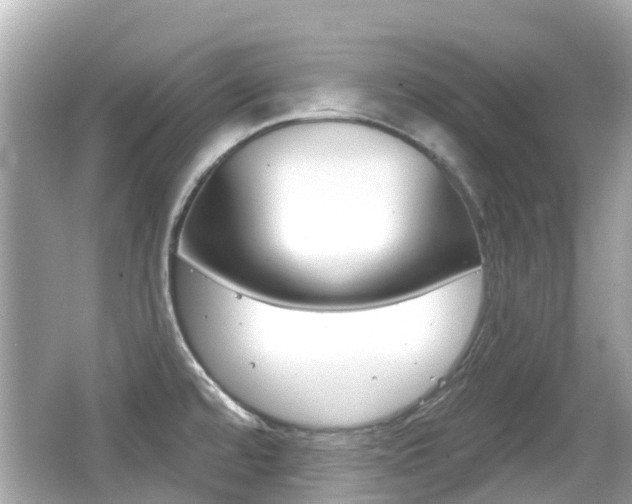 X0000066531480200603171016