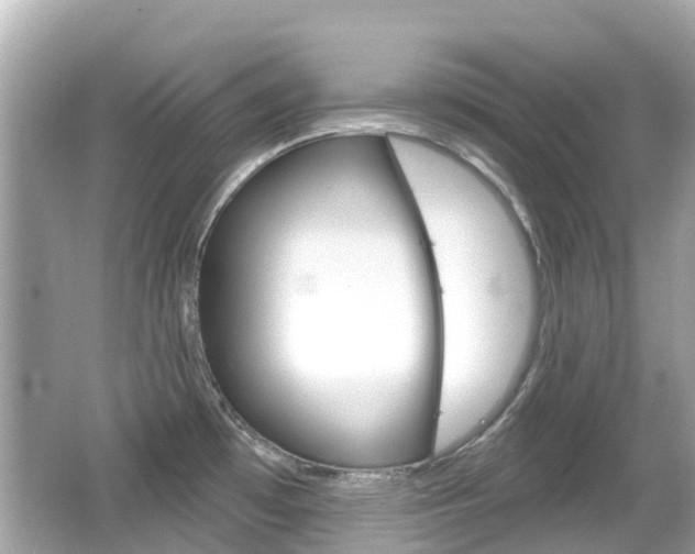 X0000066531481200603171016