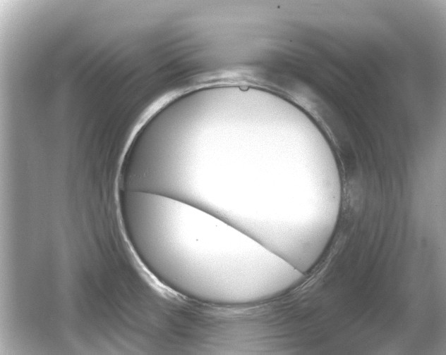 X0000066531482200603171016
