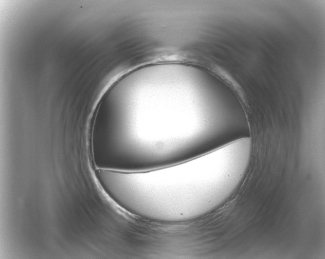 X0000066531483200603171016