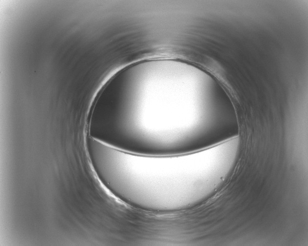 X0000066531484200603171016