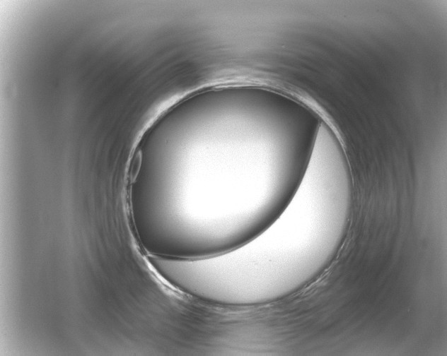 X0000066531485200603171016