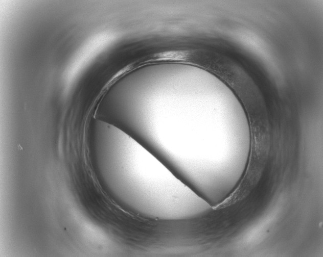 X0000066531487200603171016