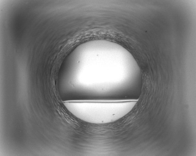 X0000066531489200603171015