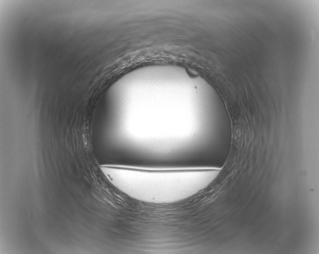 X0000066531490200603171015