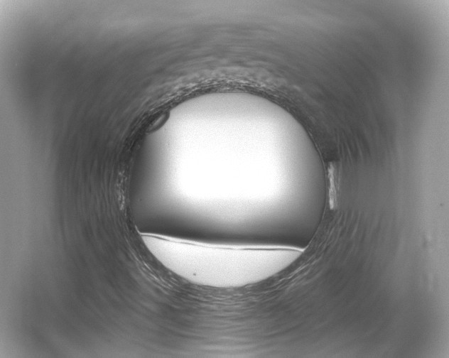 X0000066531491200603171015