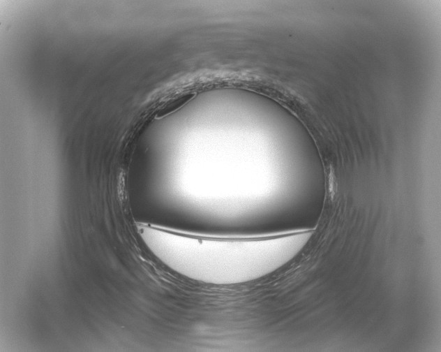 X0000066531492200603171015