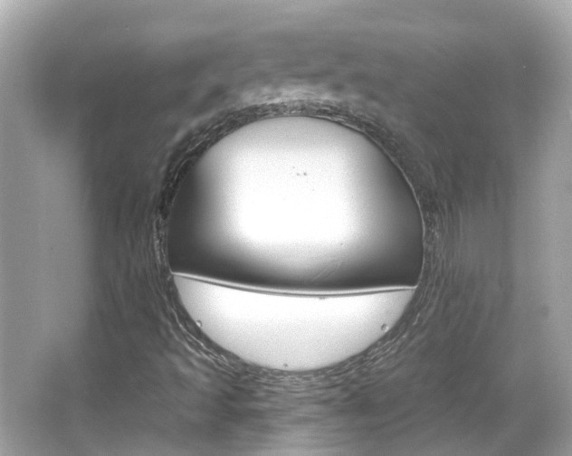 X0000066531493200603171015