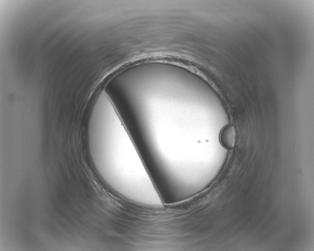X0000066531497200603171016