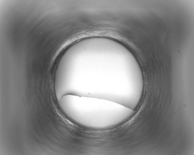 X0000066531498200603171016