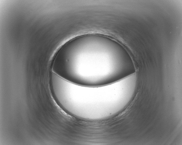 X0000066531500200603171016