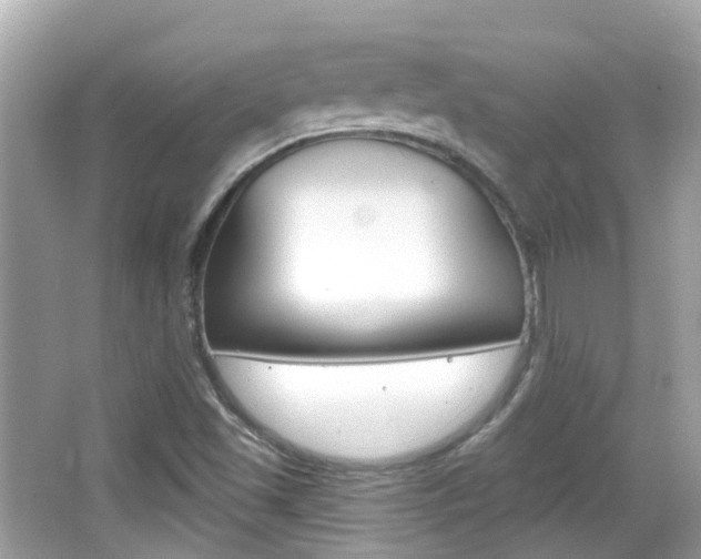 X0000066531501200603171016