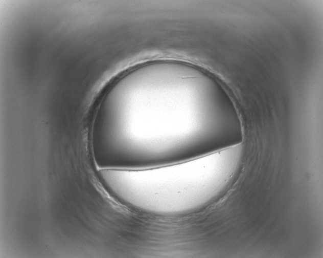 X0000066531503200603171016