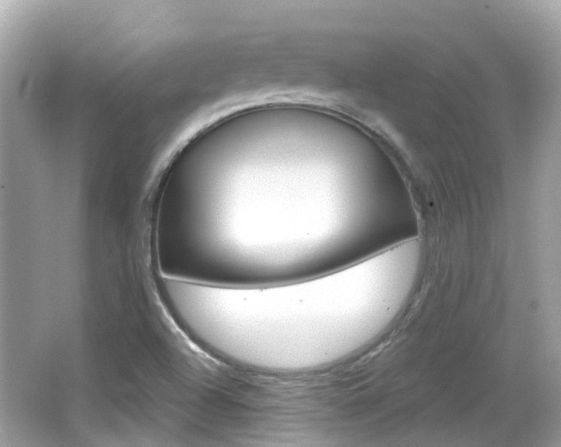 X0000066531504200603171016