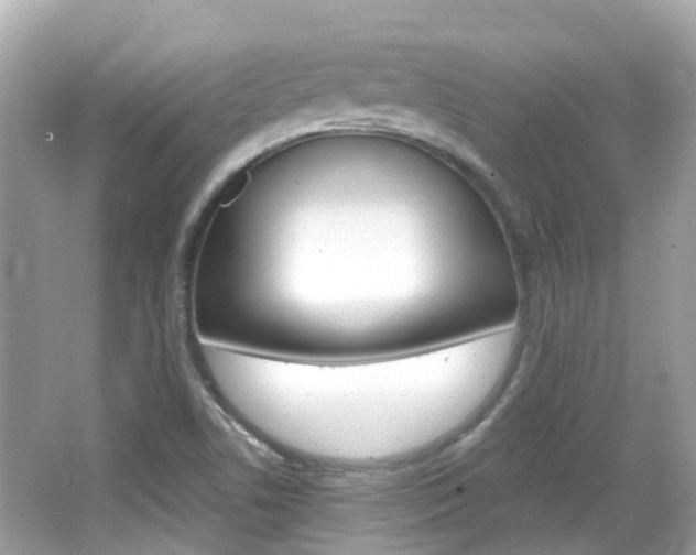 X0000066531506200603171016