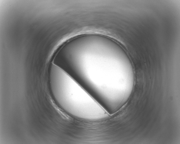 X0000066531507200603171016