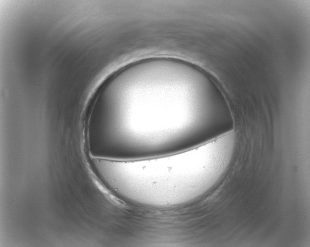 X0000066531511200603171016
