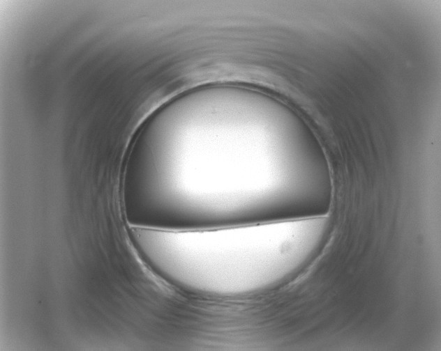 X0000066531513200603171016