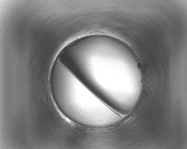 X0000066531519200603171016