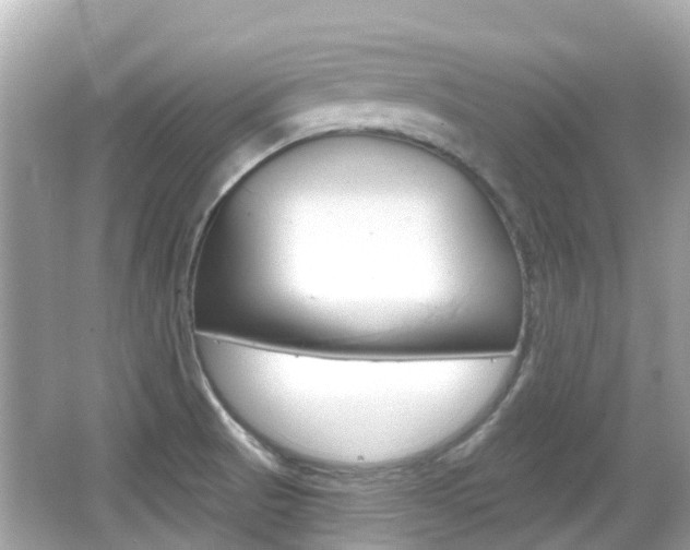 X0000066531521200603171016
