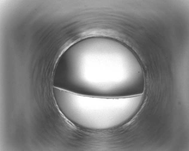X0000066531529200603171016