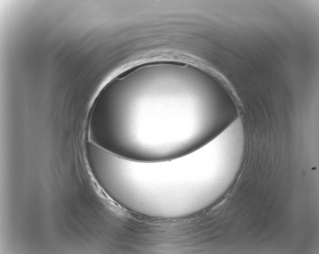 X0000066531530200603171016