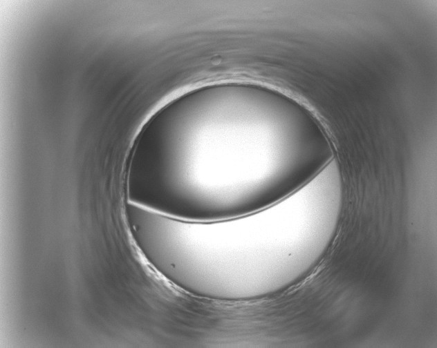 X0000066531534200603171016