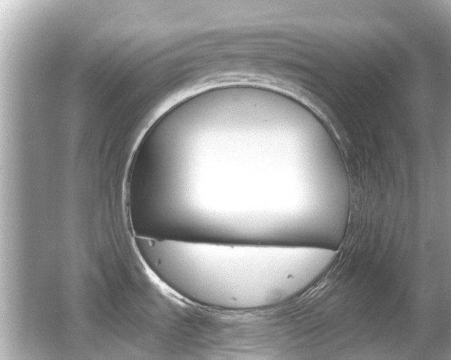 X0000066531535200603171016
