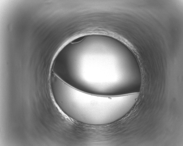 X0000066531536200603171016