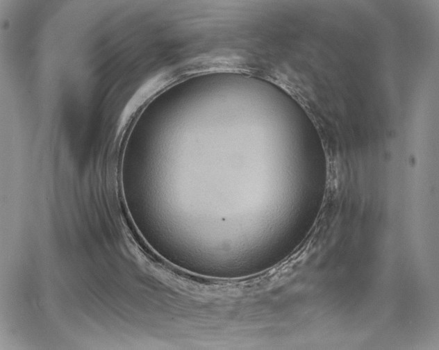 X0000066530004200603171227