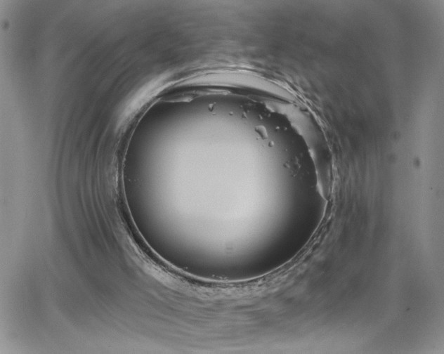 X0000066530005200603171227