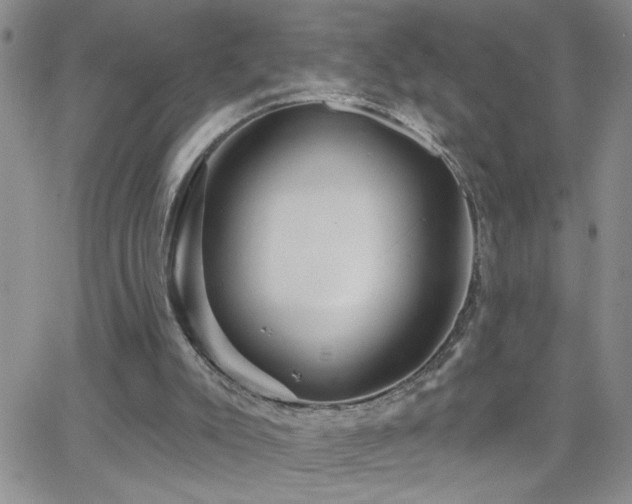 X0000066530007200603171227