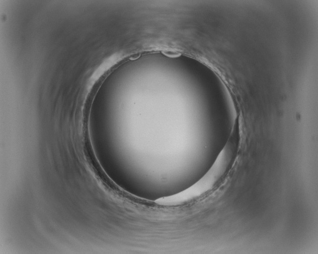 X0000066530008200603171227