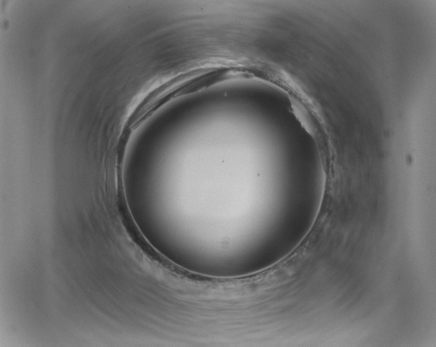 X0000066530011200603171227