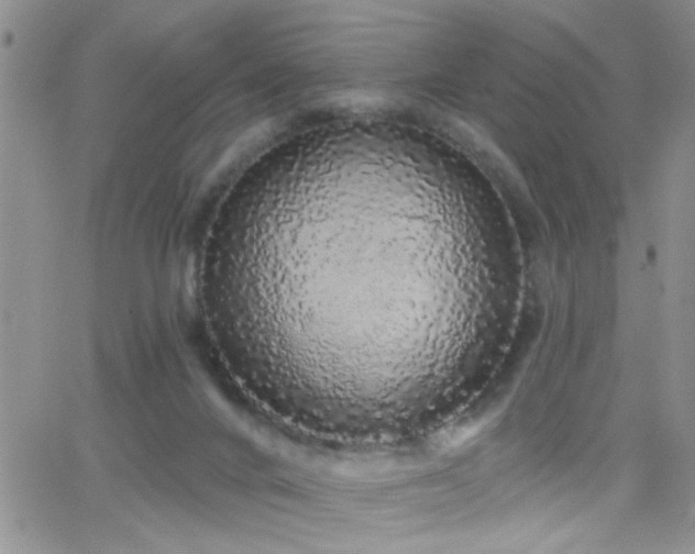 X0000066530024200603171227