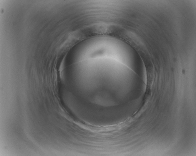 X0000066530035200603171227