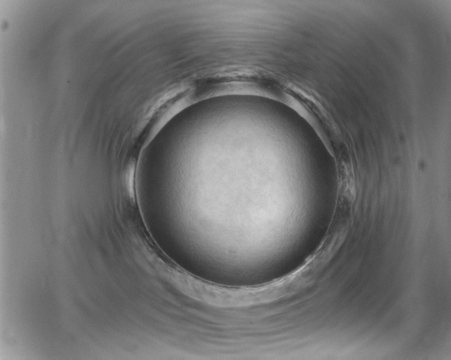 X0000066530047200603171226