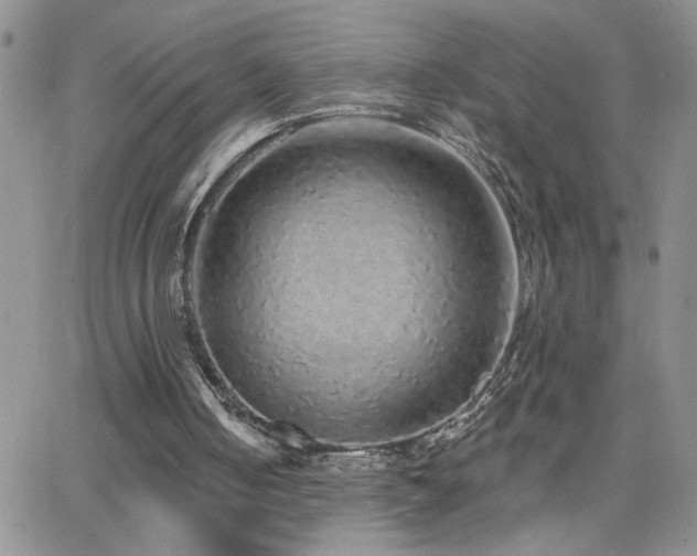 X0000066530050200603171226