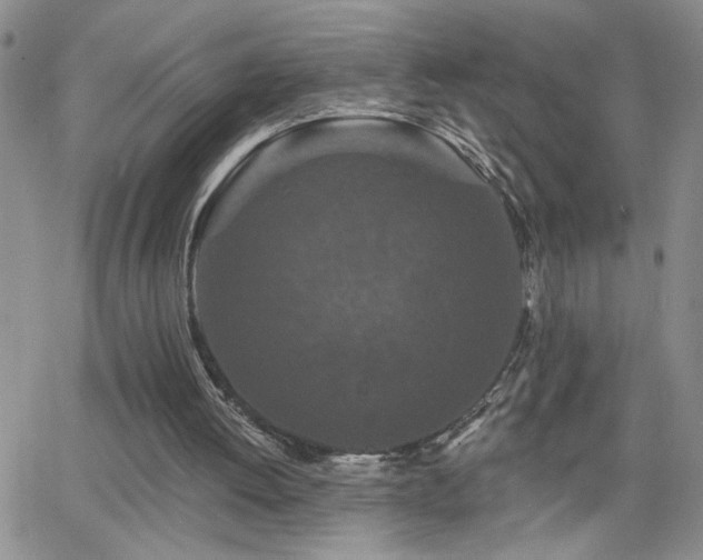 X0000066530052200603171226