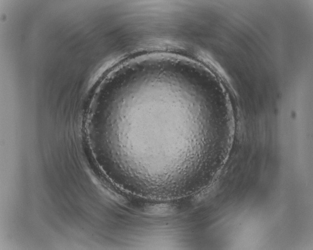 X0000066530058200603171226