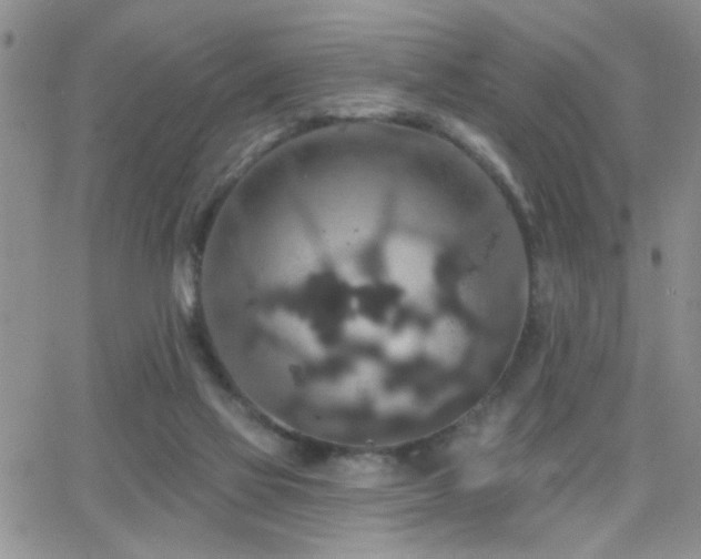 X0000066530069200603171226