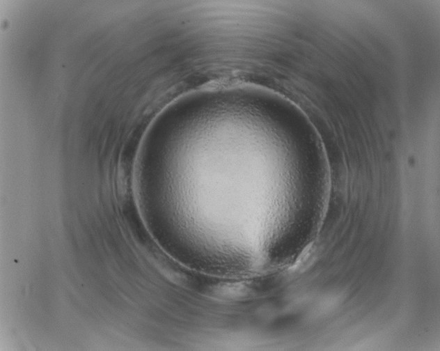 X0000066530086200603171226