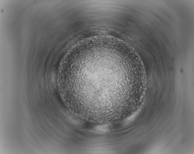 X0000066530178200603171225